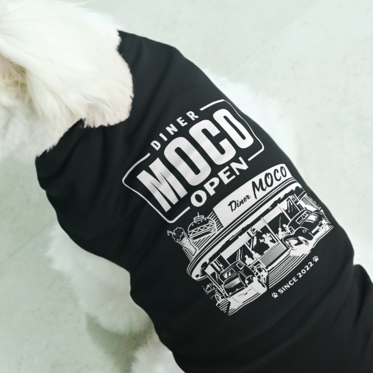 犬用Tシャツ